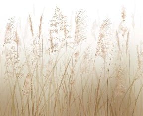 Carta da parati con fiori di campo di grano