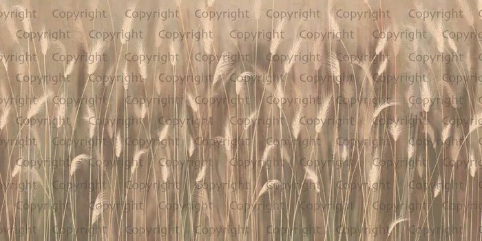 Beige panoramic wild grass wallpaper