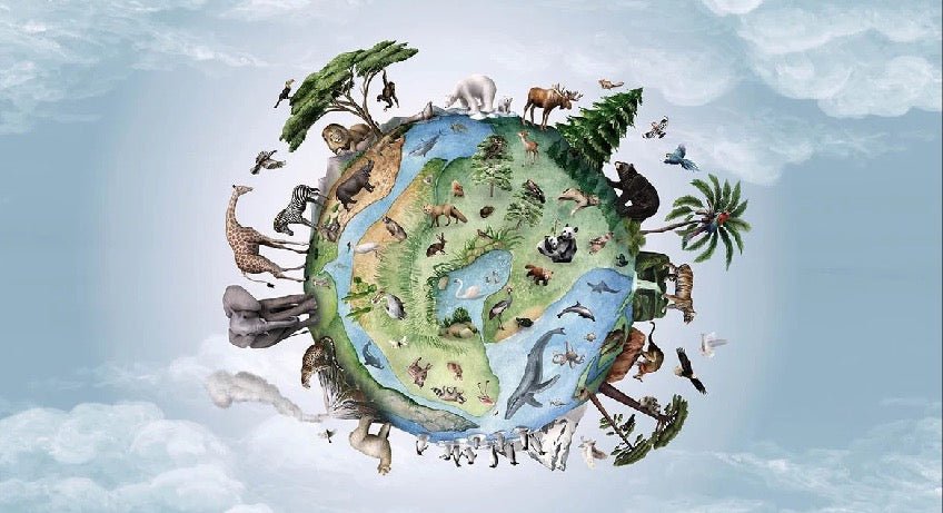 Children's animal planet wallpaper