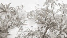 Picturesque jungle panoramic wallpaper