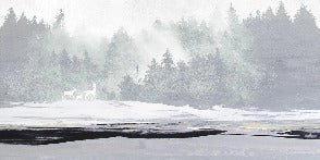 Papier peint forêt brumeuse et cerfs, XXL, tendance