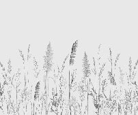 Papier peint panoramique prairie sauvage