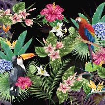 Tropical and Toucan wallpaper