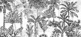 Papier peint jungle cocotier tendance gravure, XXL, tendance