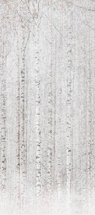 Papier peint forêt de bouleaux enveloppante, XXL, tendance