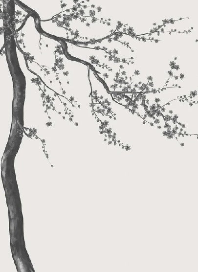 Papier peint panoramique fleur Sakura noir et blanc, XXL, tendance