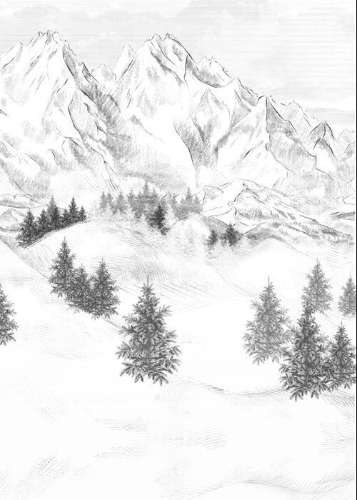Papier peint montagne sommets de Chamonix, XXL, tendance