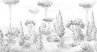 Panorama-Tapete Antikwald