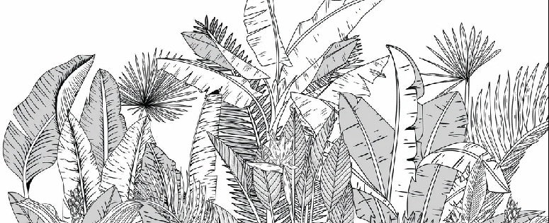 Schwarz-weiße Panorama-Tapete botanic leaf
