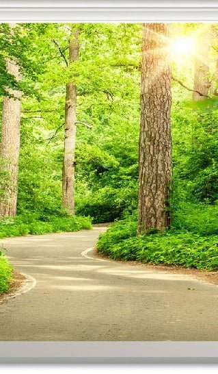 Papier peint wc balade en forêt, XXL, tendance