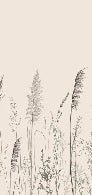Papier peint panoramique prairie sauvage