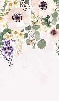 Tapete floral provence