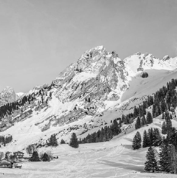 Panoramic alpine chalet wallpaper