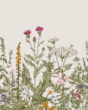 Papier peint fleur botanique folk romantique, XXL, tendance