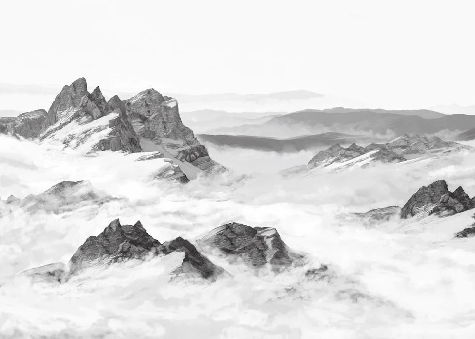 Papier peint panoramique montagne noir et blanc