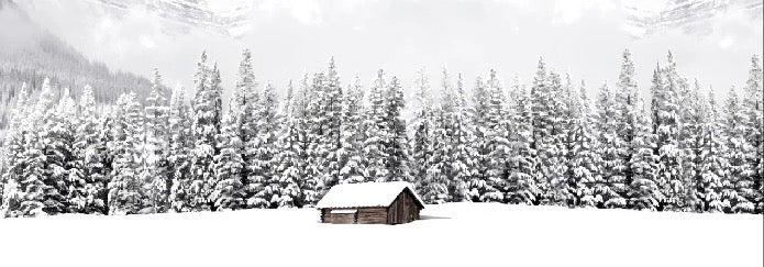 Papier peint panoramique chalet en montagne