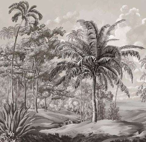 Papier peint paysage Célèbes noir et blanc, XXL, tendance