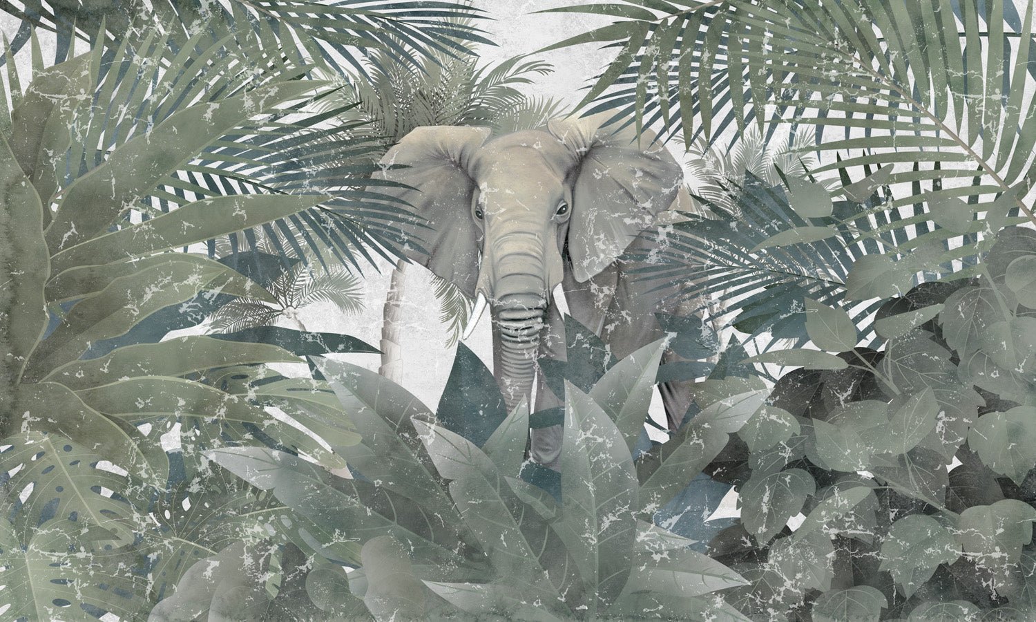 Papier peint Elephant d'Amazonie, mural concept, tendance