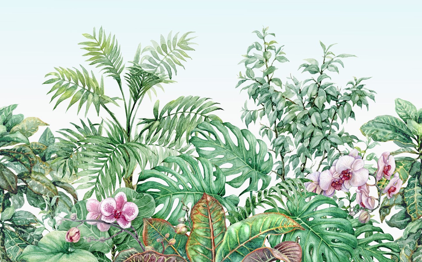 Papier peint Végétal, mural concept, tendance