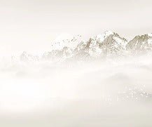 Papier peint Mont blanc lune et oiseau, XXL, tendance