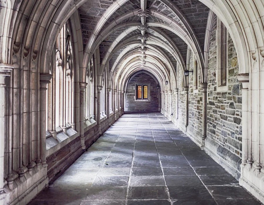 Papier peint Trompe l’œil alcôve cathédrale Parisienne, XXL, tendance