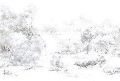 Tapete Kiefernwald Aquarell