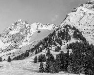 Carta da parati panoramica per chalet alpino
