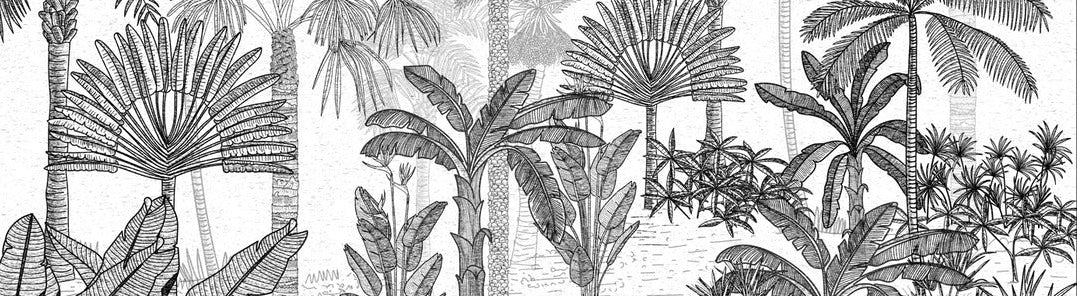 Papier peint jungle cocotier tendance gravure, XXL, tendance