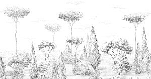 Panorama-Tapete Antikwald