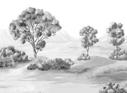 Papier peint paysage poétique noir et blanc, XXL, tendance