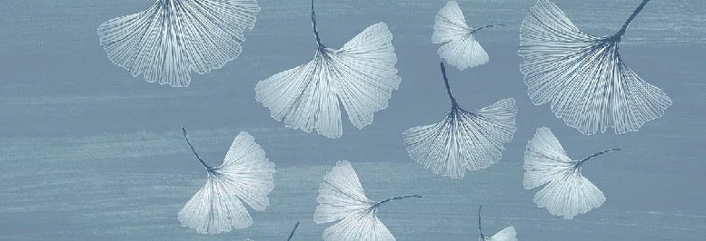 Papier peint salle de bain japandi blue gingko, XXL, tendance