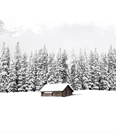 Papier peint panoramique chalet en montagne, XXL, tendance