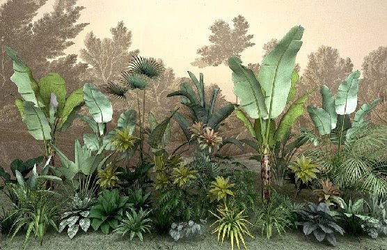 Papier peint Jungle tendance indonésia
