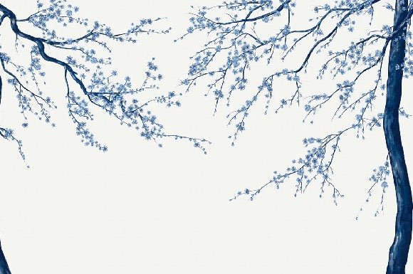 Sakura white panoramic flower wallpaper