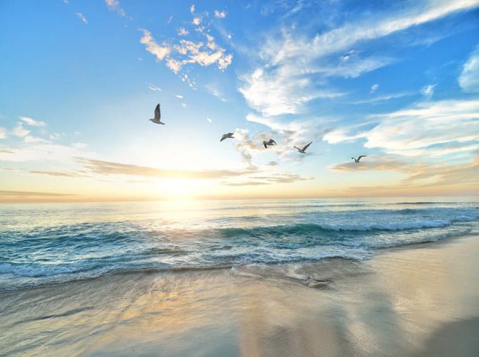 Papier peint Plage Paradisiaque, XXL, tendance