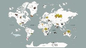 Papier peint Carte du monde en Francais enfant gris, XXL, tendance