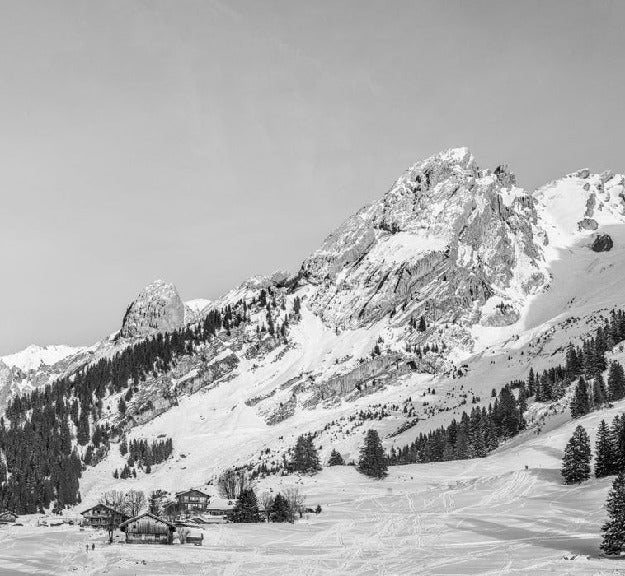 Panorama-Tapete Chalet Alm