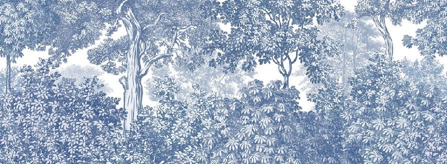 Papier peint paysage forêt gravure bleu, XXL, tendance