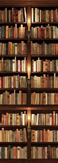 Papier peint trompe l'oeil Authentique Bibliothèque, XXL, tendance