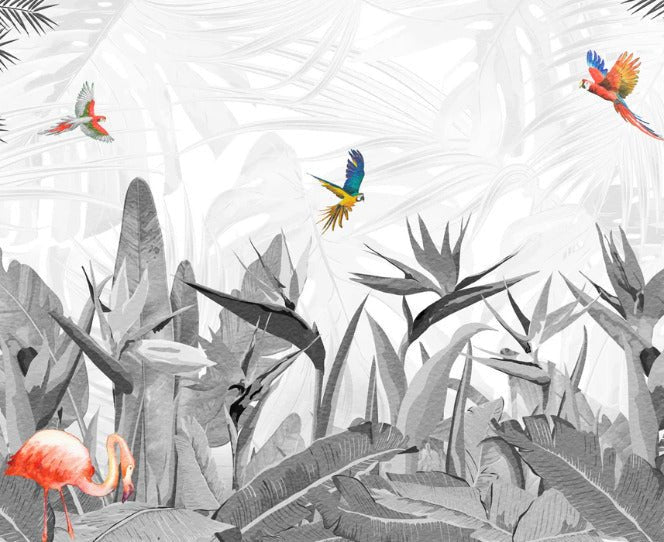 Black and white bird of paradise wallpaper