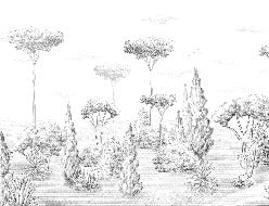 Panorama-Tapete Antikwald
