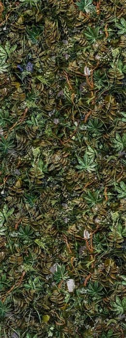 Papier peint panoramique trompe l'oeil mur végétal, XXL, tendance