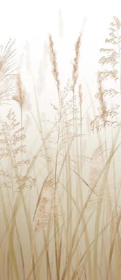 Papier peint fleur des champs de blé, XXL, tendance