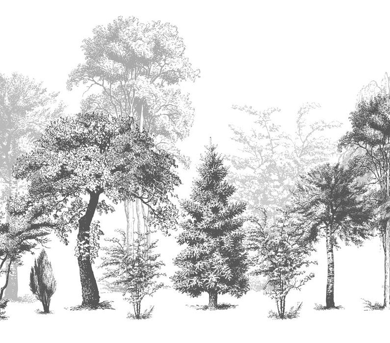 Papier peint salle de bain nature en noir et blanc, XXL, tendance