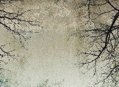 Papier peint Forêt Enchantée, XXL, tendance