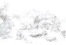 Papier peint forêt de pin aquarelle, XXL, tendance