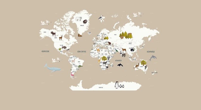 Carta da parati con mappamondo francese per bambini, beige