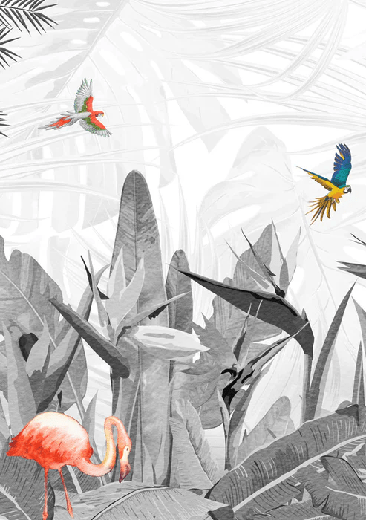 Carta da parati bianca e nera con uccello del paradiso