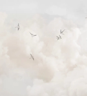 Panorama-Tapete – Zeitloser Himmel