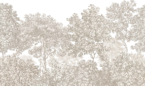 Carta da parati paesaggio foresta incisione beige
